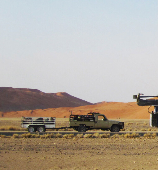 Hammerstein Mining and Drilling